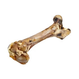 Water Buffalo Extra Large Femur Bone