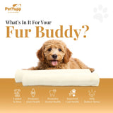 100% Natural Water Buffalo Cheek Roll Dog Chew  - Pack of 10 Count, 12 Inch