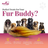 100% Natural Water Buffalo Ear with Meat Dog Chew - Pack of 10