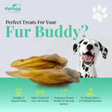 100% Natural Water Buffalo Ear with Meat Dog Chew - Pack of 20